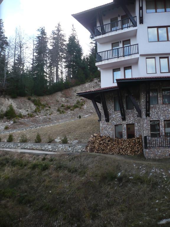 Snezhanka Пампорово